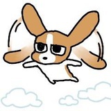啊呀呀呀大姑娘