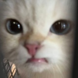 eieheosbsismu