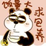 大笨猪