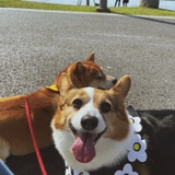 1.