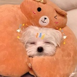 Smillied_cc