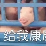 七彩菠萝