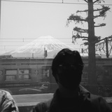 葳