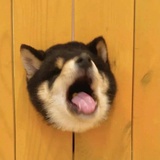 什么都搞搞