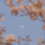 此用户不想改名