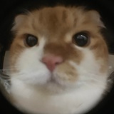 德玛西亚军