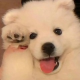 快乐小5