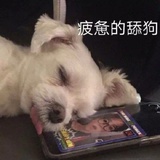 神秘女子波7霸