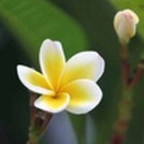 赫萝兹尼的城堡