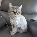 拖拽上传