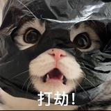 元启（飞升版）
