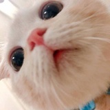 Jin_nnnnnn