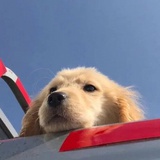 👀