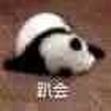 白白