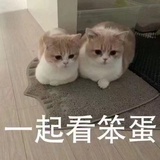 豆友187522688