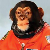 Space Monkey