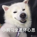 油灯盈袖