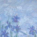 77
