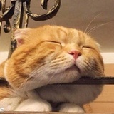 不只吃一碗