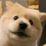 现在就开始学习