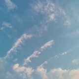 憨憨兔