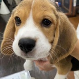 老公儿子下天堂