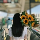 三七分少年
