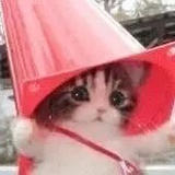索南梅朵