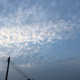 豆友187705505