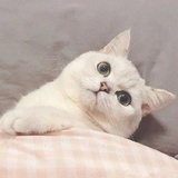小铁盒