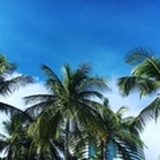 SEA HOUSE BKK