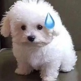 今天学习了吗