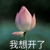 叮隆叮隆