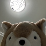cOIx