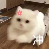 每天坚持进步点