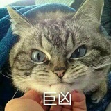 是文文儿呀