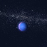 海鸥不会飞