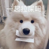 番茄鸡蛋汤