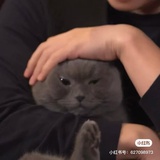 好运女孩👧