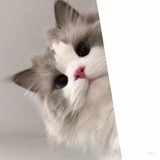 卧得添鸭
