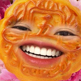 酒醉的福蝶