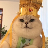 钱从四面八方来