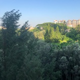 爱吃奶油