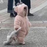 糍粑