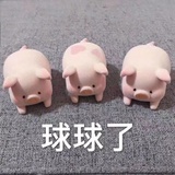 一只球球