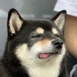 普通一女的