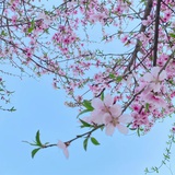 咸鱼就想当废物