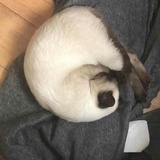的电话