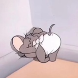 cc