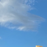 土豆咸鱼辣子鸡